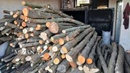 دادستان شهرستان رودسر: با قاچاق چوب و تخریب منابع طبیعی بدون اغماض برخورد می‌شود