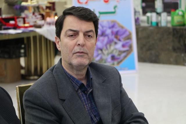 زعفران طلای سرخ / پایان راه گیاهان ممنوعه آغاز فصل امید کشاورزی لرستان