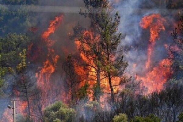 نیاز مازندران به پایگاه های تخصصی اطفای حریق