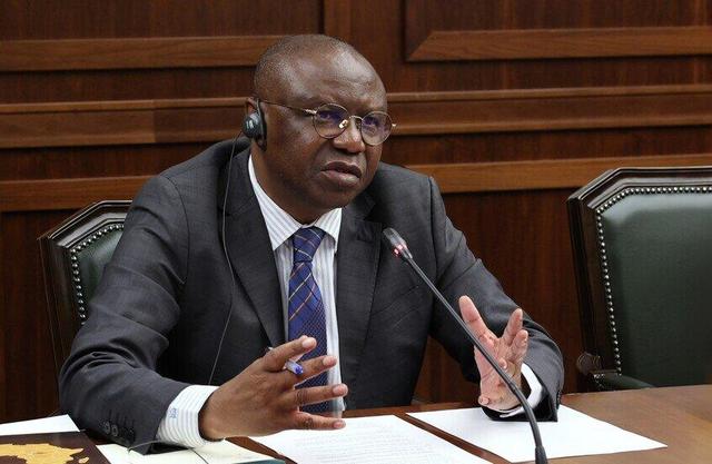 وزیر دفاع آفریقای مرکزی: کمک روسیه باعث توقف خشونت در کشور شد