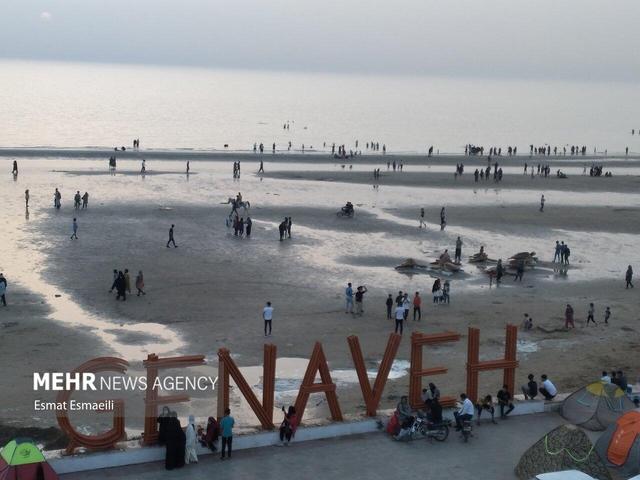 دستگاه قضایی به آلودگی در ساحل گناوه ورود کرد