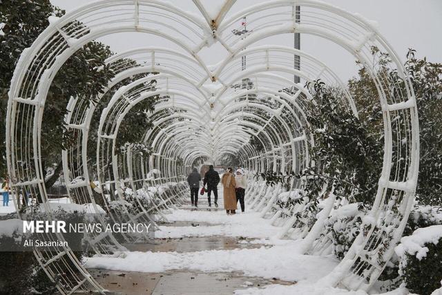 داداشی: هشدار زرد بارش برف و افت دما در خراسان شمالی صادر شد