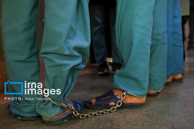 ۲ قُرق بان و ۲ نگهبان به جرم تبانی با قاچاقچیان چوب در مازندران دستگیر شدند