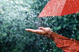 ببینید/ نم باران پاییزی خیابان‌های کرج را خیس کرد