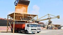 ورود دو کشتی حامل بیش از ۱۲۷ هزار تن گندم به بندر امام خمینی