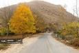 طبیعت پاییزی طارم در استان زنجان