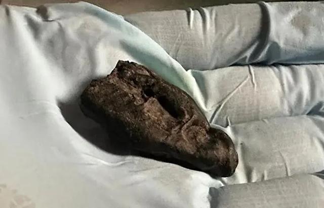 آدامس 10 هزار ساله‌ای که دختری با چشمان قهوه‌ ای آن را جویده است