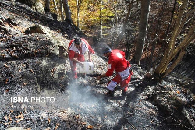 فرماندار ساری: آتش‌سوزی جنگل‌های مرزی ساری و نکا در کمتر از ۹ ساعت مهار شد