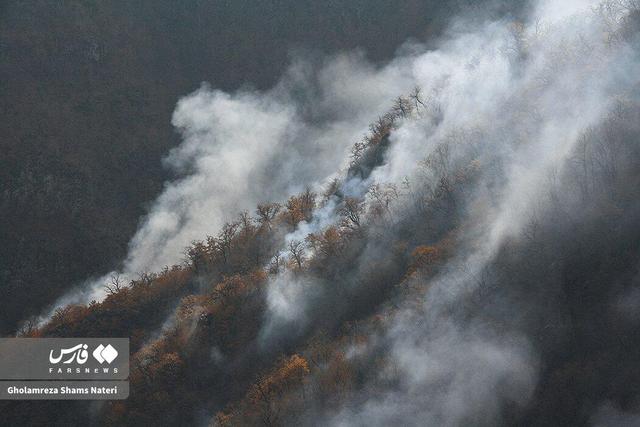 خط قرمز ما هیرکانی است | منتقدان: چه چیزی به جنگل دادید که باز هم بهره‌ برداری می‌ خواهید؟
