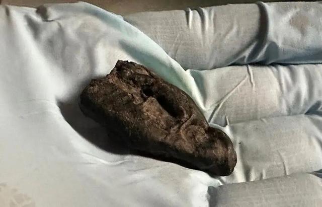 ببینید؛ این آدامس ۱۰ هزار ساله‌ را دختری با چشمان قهوه‌ای جویده است!