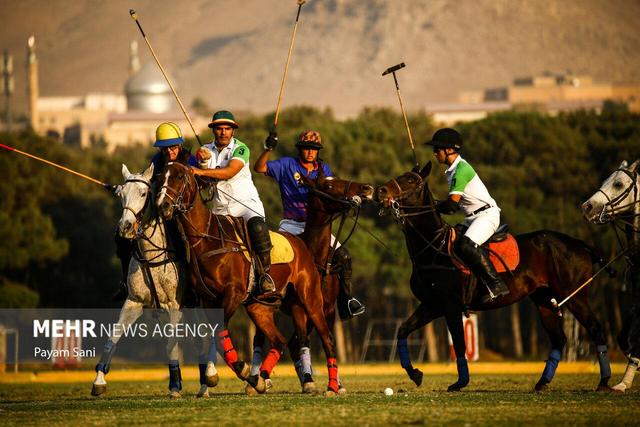 درخواست ۶ کشور برای بازی دوستانه با تیم ملی چوگان ایران