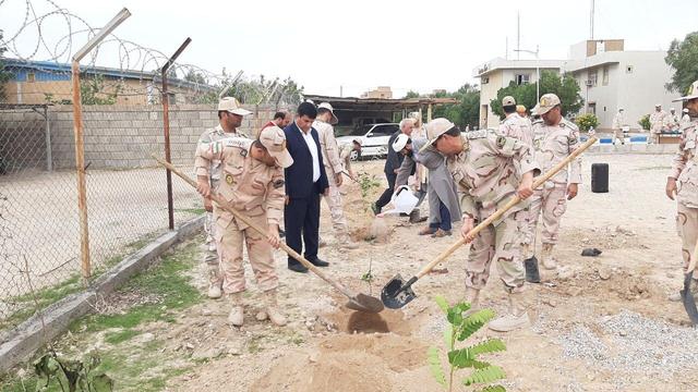 ۵۰۰ درخت در هنگ مرزی دهلران غرس شد