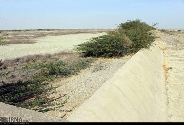 تاثیر منفی تغییرات اقلیمی بر ۳۰ هزار هکتار از اراضی تربت‌حیدریه + فیلم 