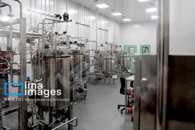 استاندار کرمان بر لزوم حمایت مالی از شرکت‌های دانش‌بنیان در سطح ملی تاکید کرد