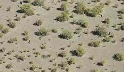 فیلم/ رصد پهپادی اتباع غیرمجاز درحال ورود به کرمان