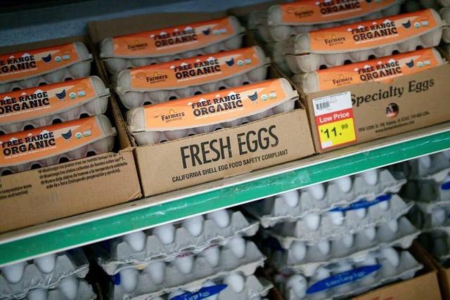 صادرات تخم مرغ خوراکی از استان مرکزی بیش از ۳ برابر افزایش یافت