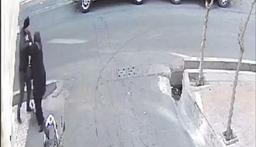 ببینید | زورگیری خشن از یک زن در قلب تهران!