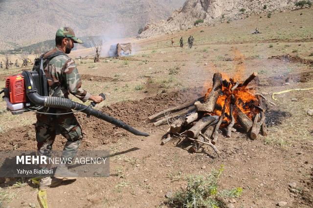 بسیج مردمی برای مهار آتش جنگلها؛ آموزش جوامع محلی برای اطفای حریق