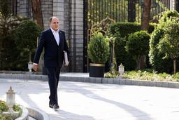 نوری قزلجه: قیمت مرغ اصلاح شده و علتی برای گرانی وجود ندارد