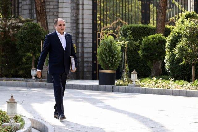 نوری قزلجه: قیمت مرغ اصلاح شده و علتی برای گرانی وجود ندارد