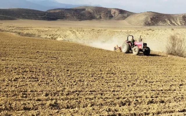 ایستگاه تولید بذر کجور دوباره فعال شد