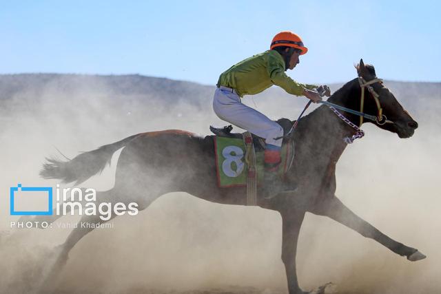 حیدری: اگر مدیران پیشین بلد بودند، مشکل قرنطینه اسب حل شدنی بود