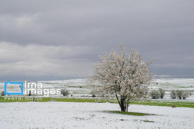 زمستان خراسان‌شمالی بالاخره از پشت پرده ابرها بیرون آمد