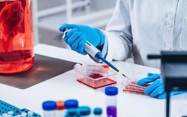 آشنایی با کاربرد هیدروژل‌های مهندسی‌شده در کشت سه‌بعدی سلول و چاپ زیستی