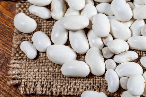 تولید سالانه هشت‌هزار و ۵۰۰ ‌تن لوبیا در شهرستان خمین