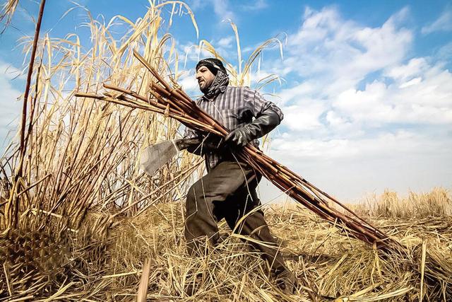 «هفت تپه» مثنوی هفتاد من!
