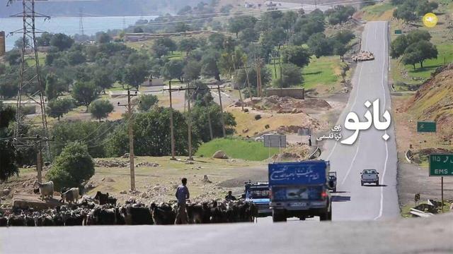وقتی ایثار مادری مرزها را درمی‌نوردد؛ از فانوس عمار تا دیپلم افتخار مکزیک!