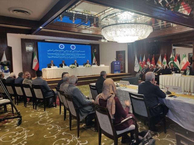 نشست کمیته دائمی امور سیاسی مجمع‌المجالس آسیایی در مشهد آغاز شد