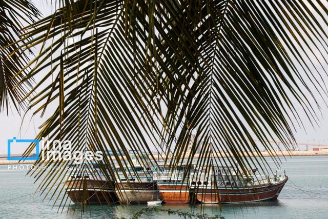 هشدار مدیریت بحران نسبت به وقوع مه غلیظ صبحگاهی در سواحل و جزایر هرمزگان