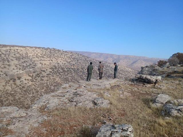 تهیه زغال خانگی ممنوع/بلوط‌های سرفیروزآباد کرمانشاه نفس می‌کشند