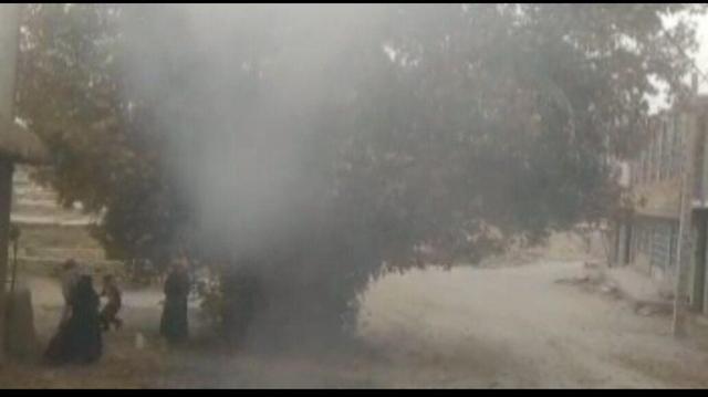 آتش‌سوزی درخت چِنار ۱۲۰ ساله روستای چنارمحمودی شهرستان لردگان مهارشد