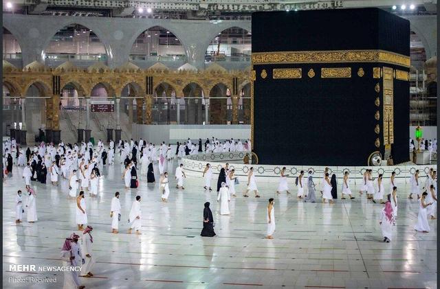 راهاندازی کانال «با زائران» برای ارائه منسجم دانستنیهای حج