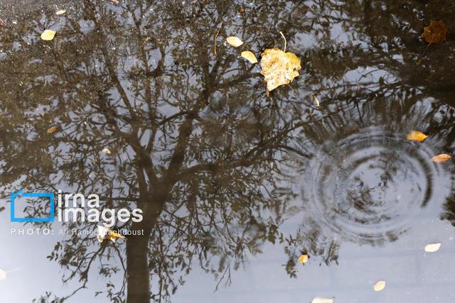 کارشناس هواشناسی: بارش‌های گسترده در راه ایلام است