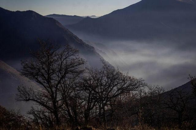 شایعه‌ای که رنگ باخت؛ آتش‌سوزی جدید در جنگل الیت تکذیب شد