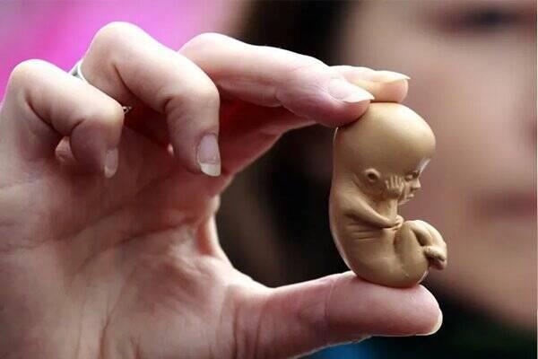 عوارض سقطهای غیرقانونی بسیار گسترده و خطرناک است