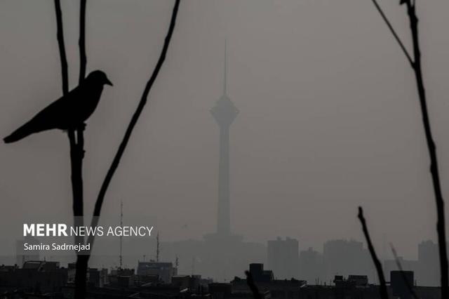 مدارس ابتدایی تهران مجازی شد