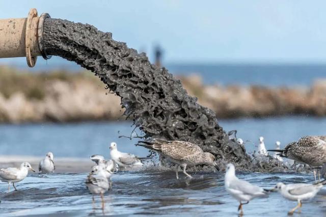 تالاب انزلی زیر تیغ پسابها