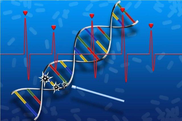 ابداع اولین داروی ترمیم DNA و بازسازی بافت آسیب‌دیده
