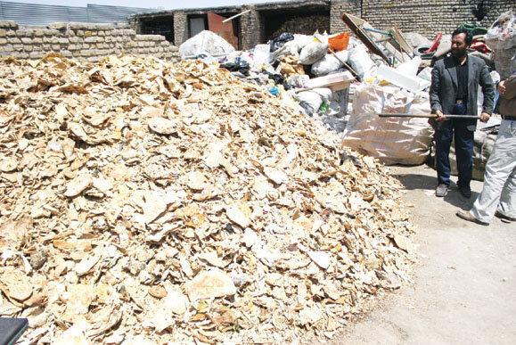 دورریز نان از مشکلات کنونی جامعه/ نان کامل، ضرورت سلامت جامعه است