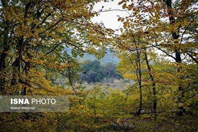 گزارش تصویری | پاییز در النگ دره