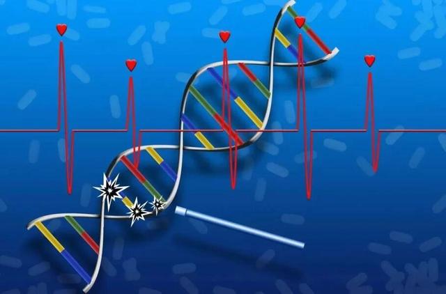 اولین دارو برای ترمیم DNA و بازسازی بافت آسیبدیده معرفی شد