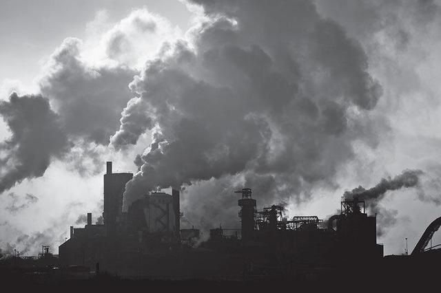 ۱۶ ابتکار جهانی برای کاهش آلودگی هوا؛ از شهر هوشمند تا جنگل‌های عمودی