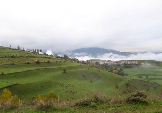 کرمی: کلید قفل محرومیت های استان ایلام در دانشگاه ها است