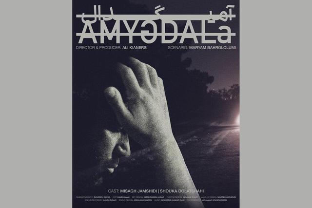 فیلم کوتاه «آمیگدال» آماده نمایش شد