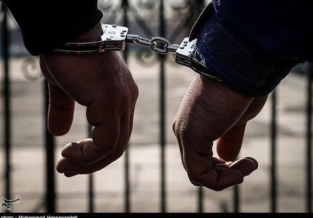 دستگیری ۴ سارق در دامغان؛ ۱۰ فقره انواع سرقت کشف شد