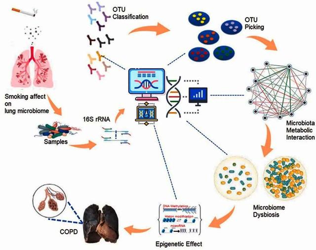 کشف روشی جدید برای درمان بیماری مزمن ریه